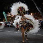 The Carnival of Santa Cruz de Tenerife